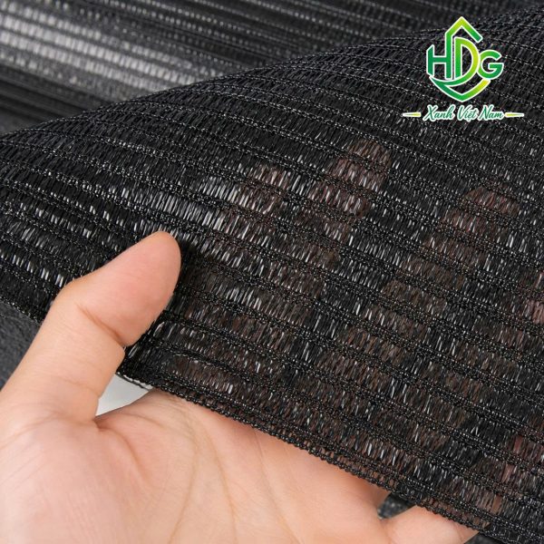 album lưới thái 70%