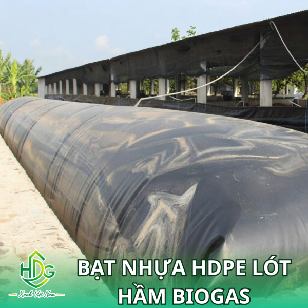 Bạt nhựa HDPE lót hầm Biogas