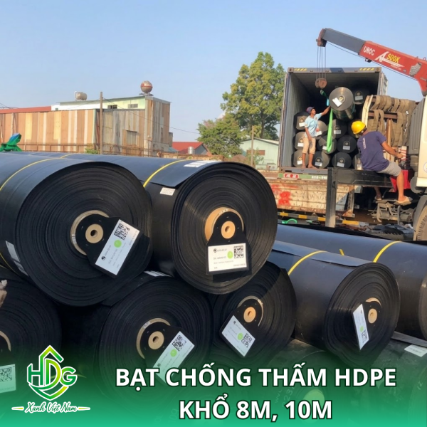 Bạt chống thấm HDPE khổ 8m, 10m
