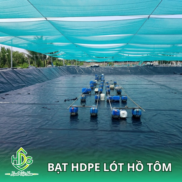 Bạt HDPE lót hồ tôm