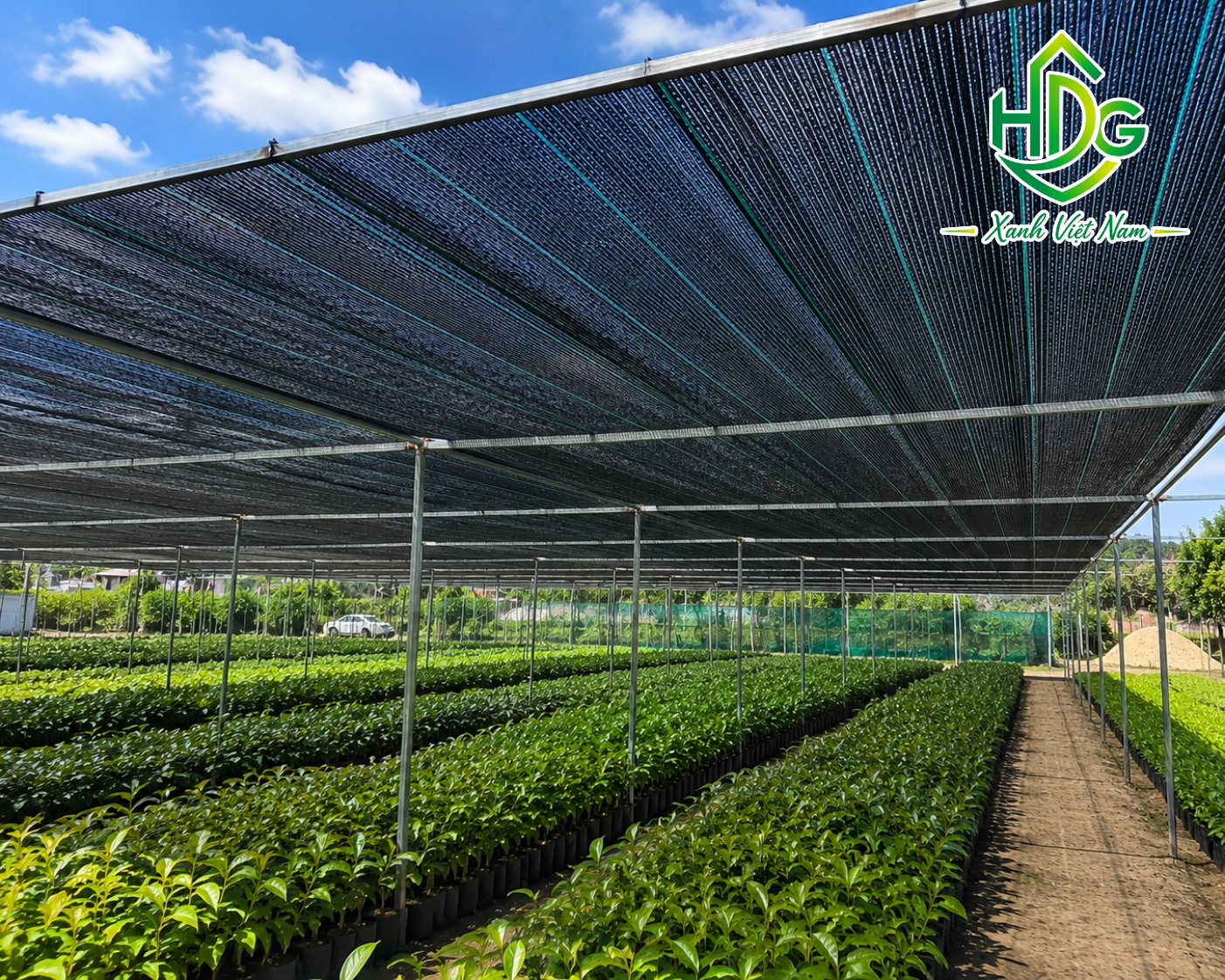 Ứng dụng lưới che nắng đài loan 140g