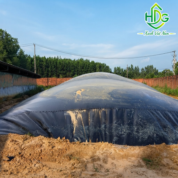 Bạt nhựa HDPE lót hầm Biogas