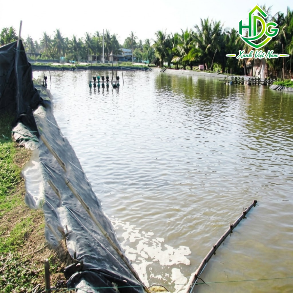 bạt lót ao hồ HDPE nuôi cá