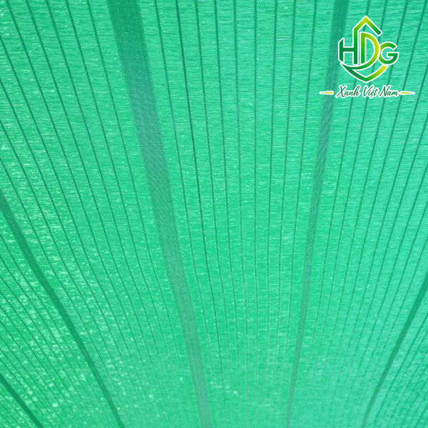 album lưới thái 60%