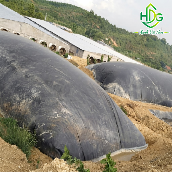 Bạt nhựa HDPE lót hầm Biogas