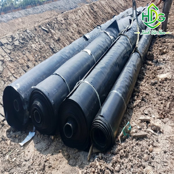 Bạt chống thấm HDPE khổ 8m, 10m