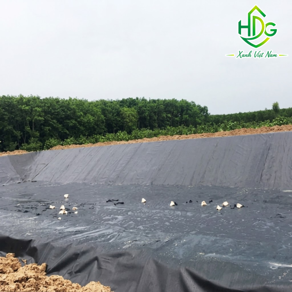 bạt lót ao hồ HDPE nuôi cá