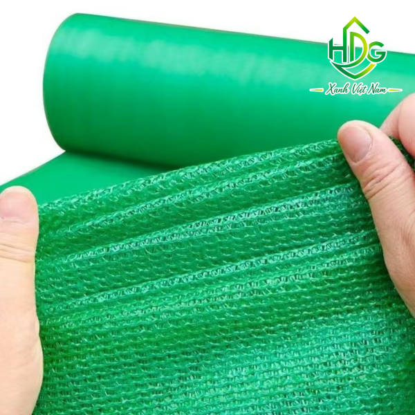 album lưới đài loan 120g
