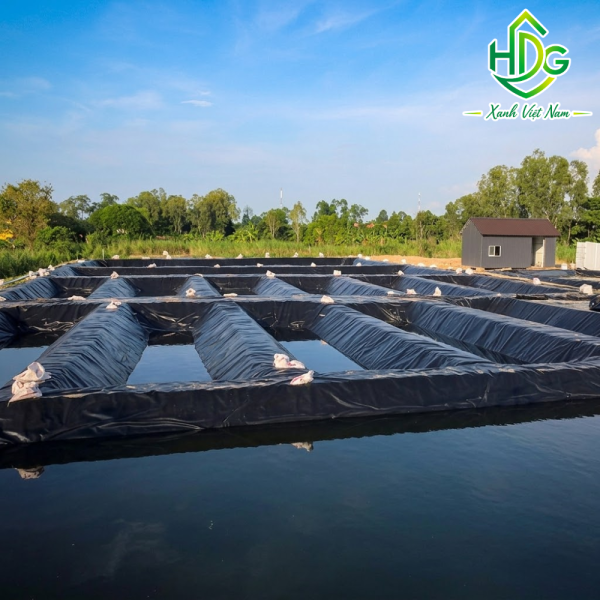 bạt lót ao hồ HDPE nuôi cá