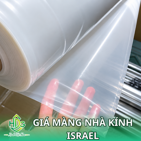 màng nhà kính Israel