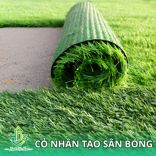 Cỏ nhân tạo sân bóng