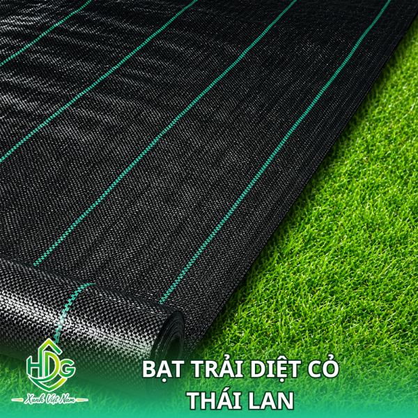 Bạt Trải Diệt Cỏ Thái Lan