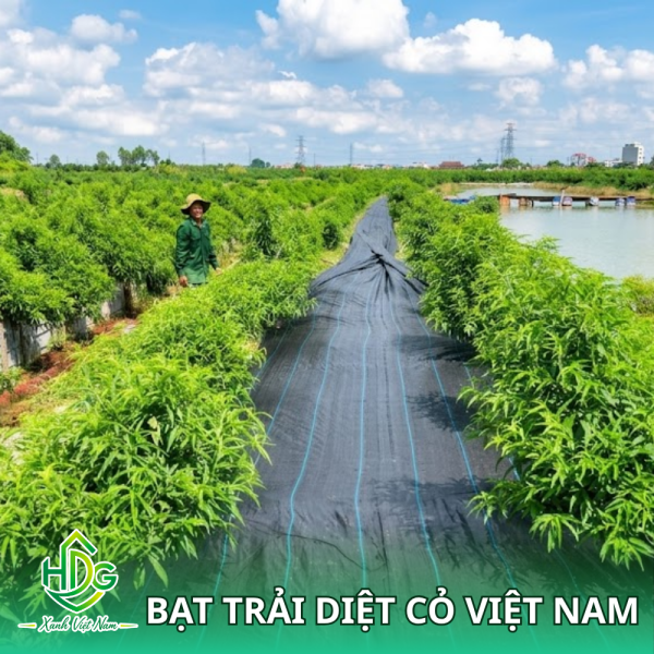 Bạt Trải Diệt Cỏ Việt Nam