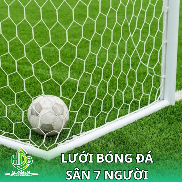 Lưới bóng đá sân 7 người
