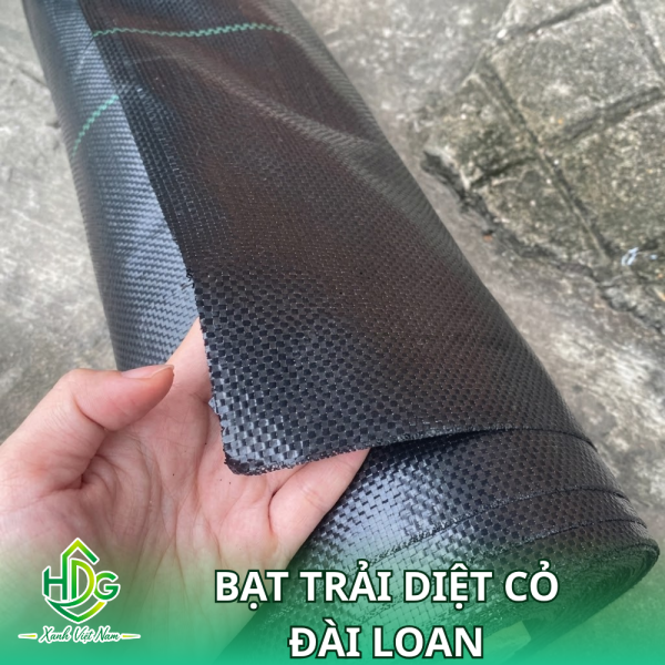 bạt trải diệt cỏ Đài Loan