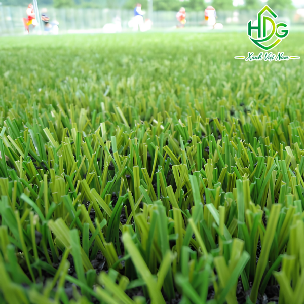 Cỏ nhân tạo sân bóng