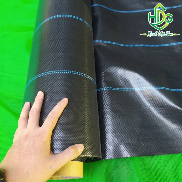 Bạt Trải Diệt Cỏ Thái Lan