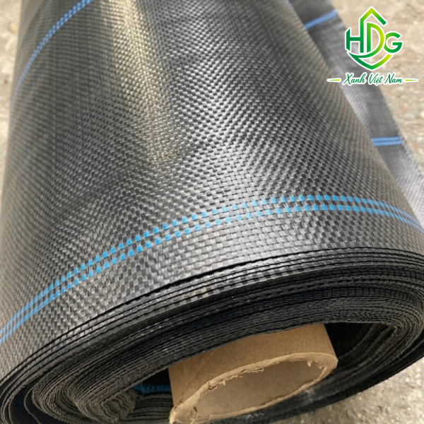 Bạt Trải Diệt Cỏ Thái Lan