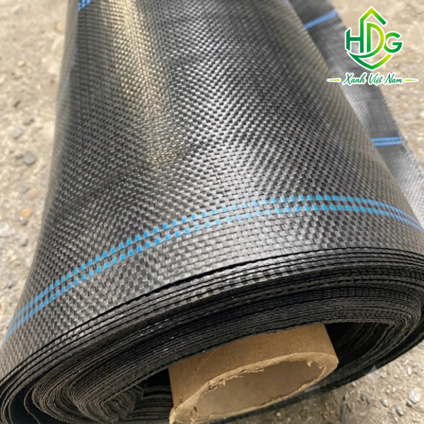 Bạt Trải Diệt Cỏ Việt Nam