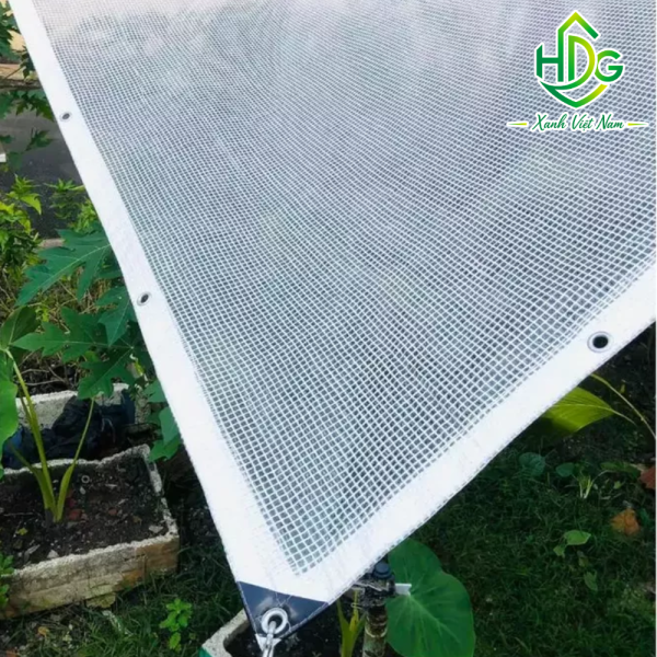 Bạt Che Mưa Lấy Sáng Leno