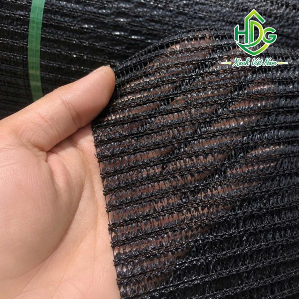 album lưới thái 90%