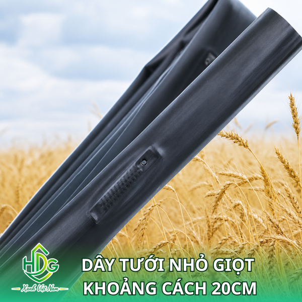 Dây tưới nhỏ giọt​ khoảng cách​ 20cm