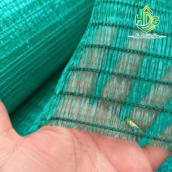album lưới xanh