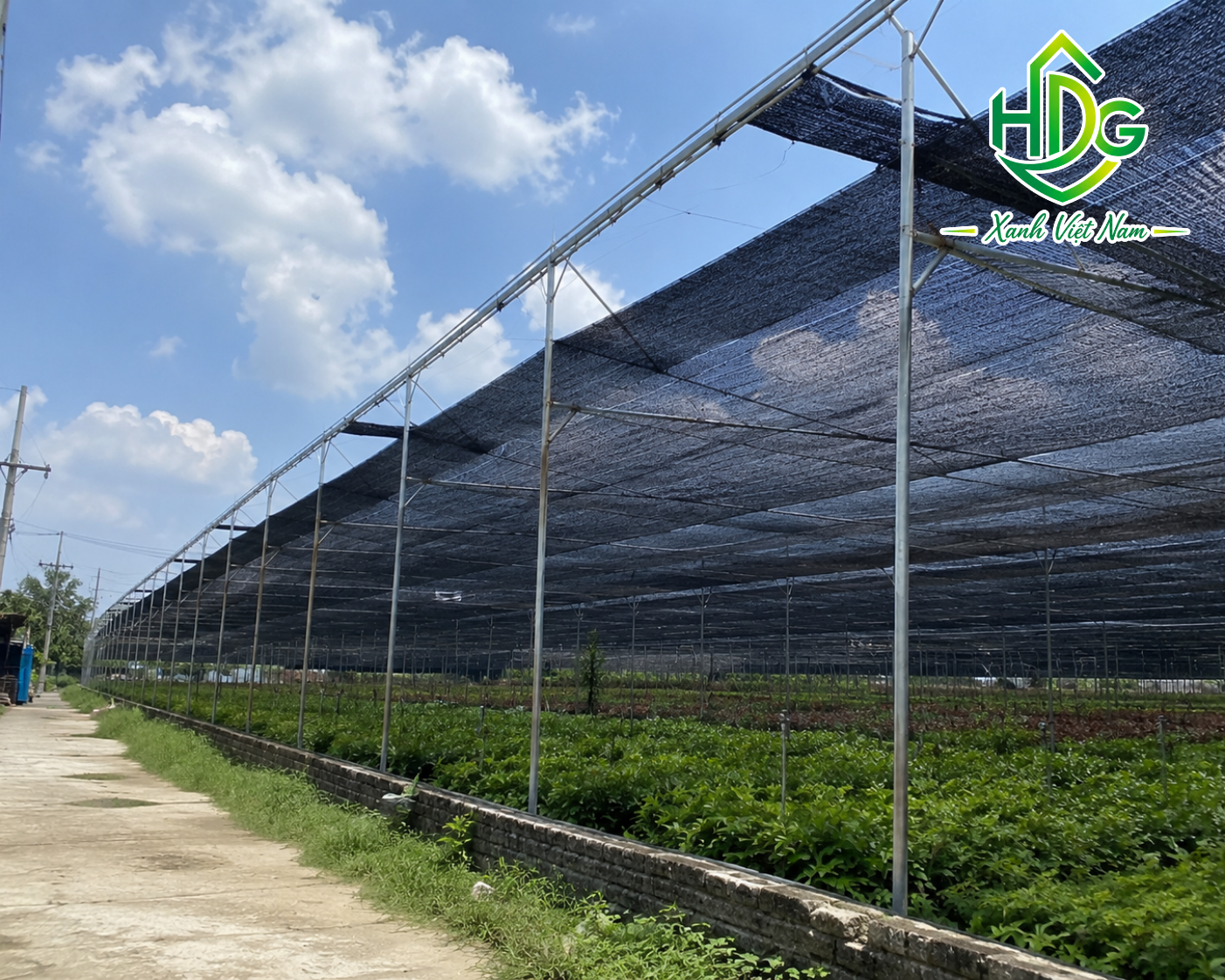 Ứng dụng lưới che nắng đài loan 230g