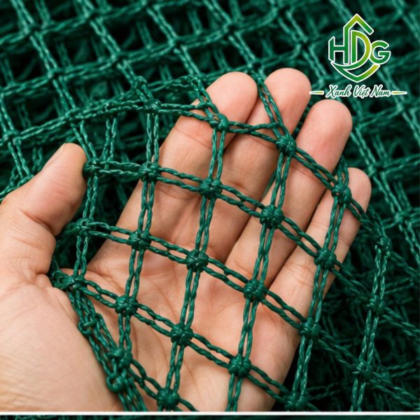 album lưới golf
