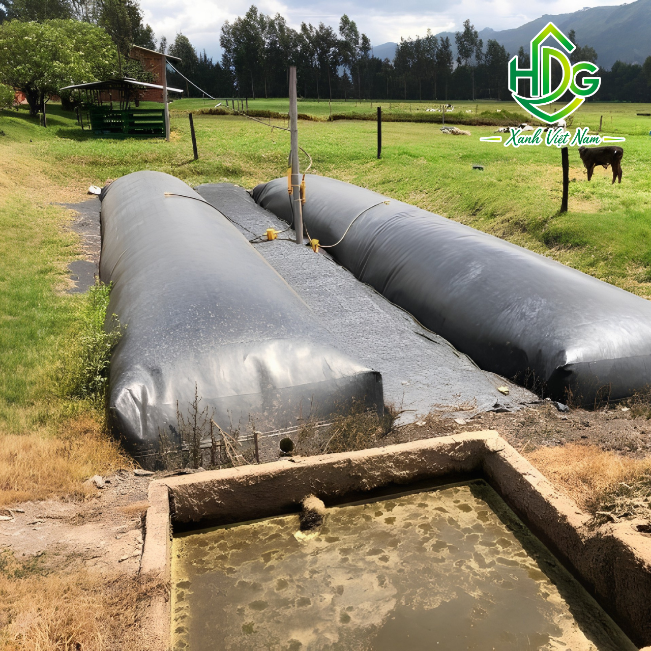 album Túi Biogas HDPE