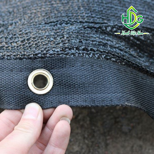 album lưới thái 50%