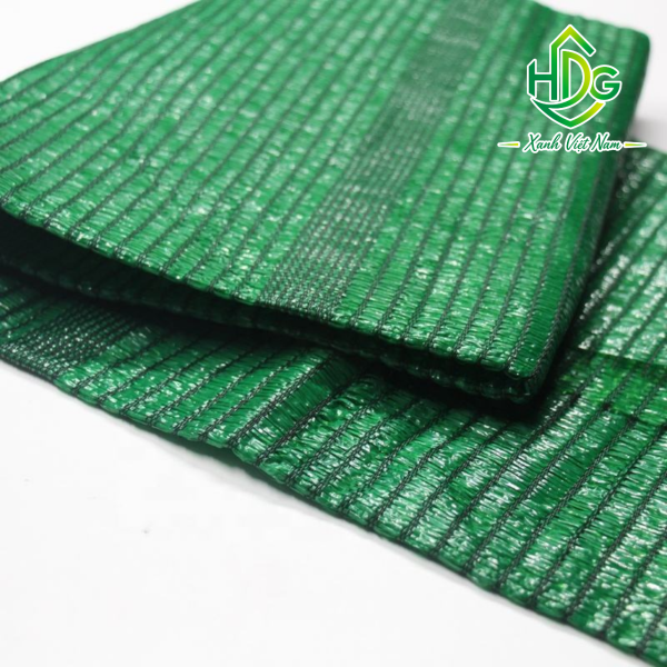 album lưới thái 50%