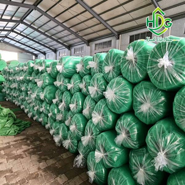 album lưới thái 50%