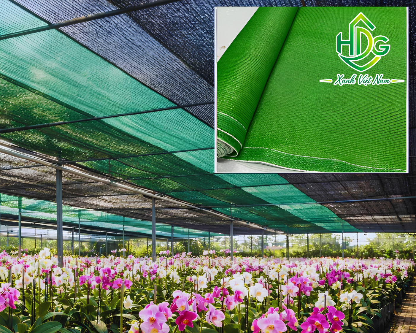 Ứng dụng lưới che nắng Thái Lan 50%