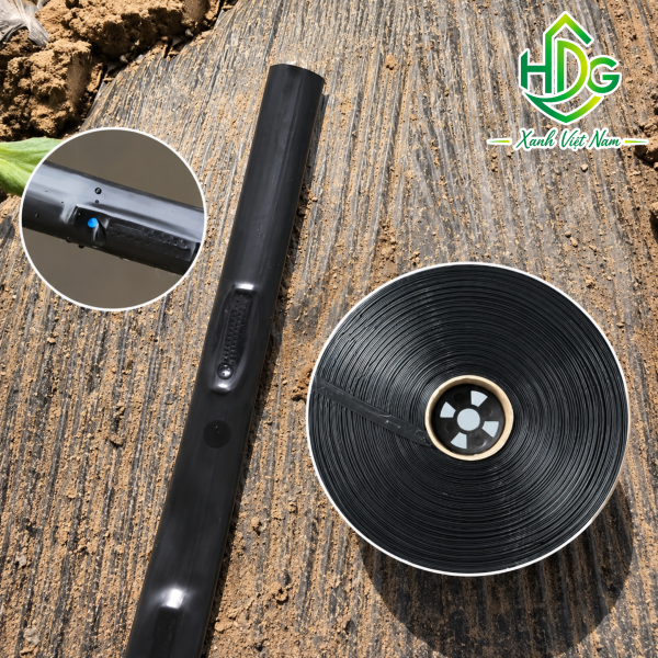 album ống 10cm