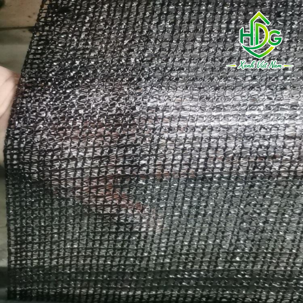 album lưới đài loan 230g