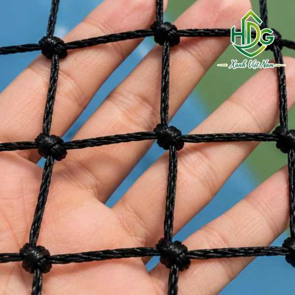 album lưới tennis