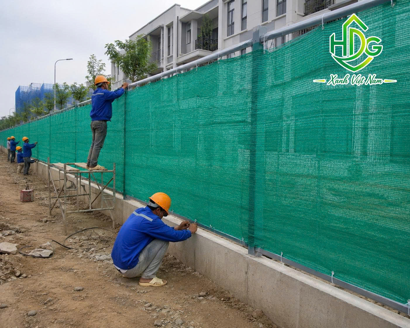Thi công lưới chắn gió màu xanh Thái Lan
