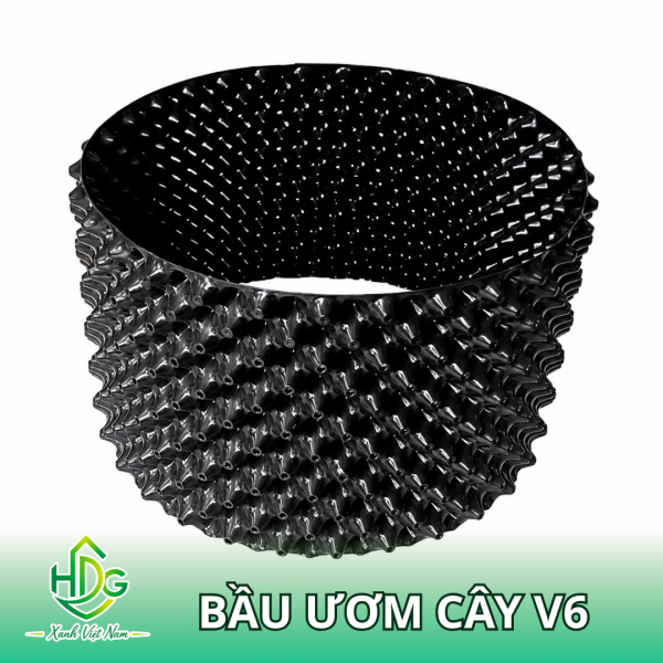 Bầu Ươm Cây V6