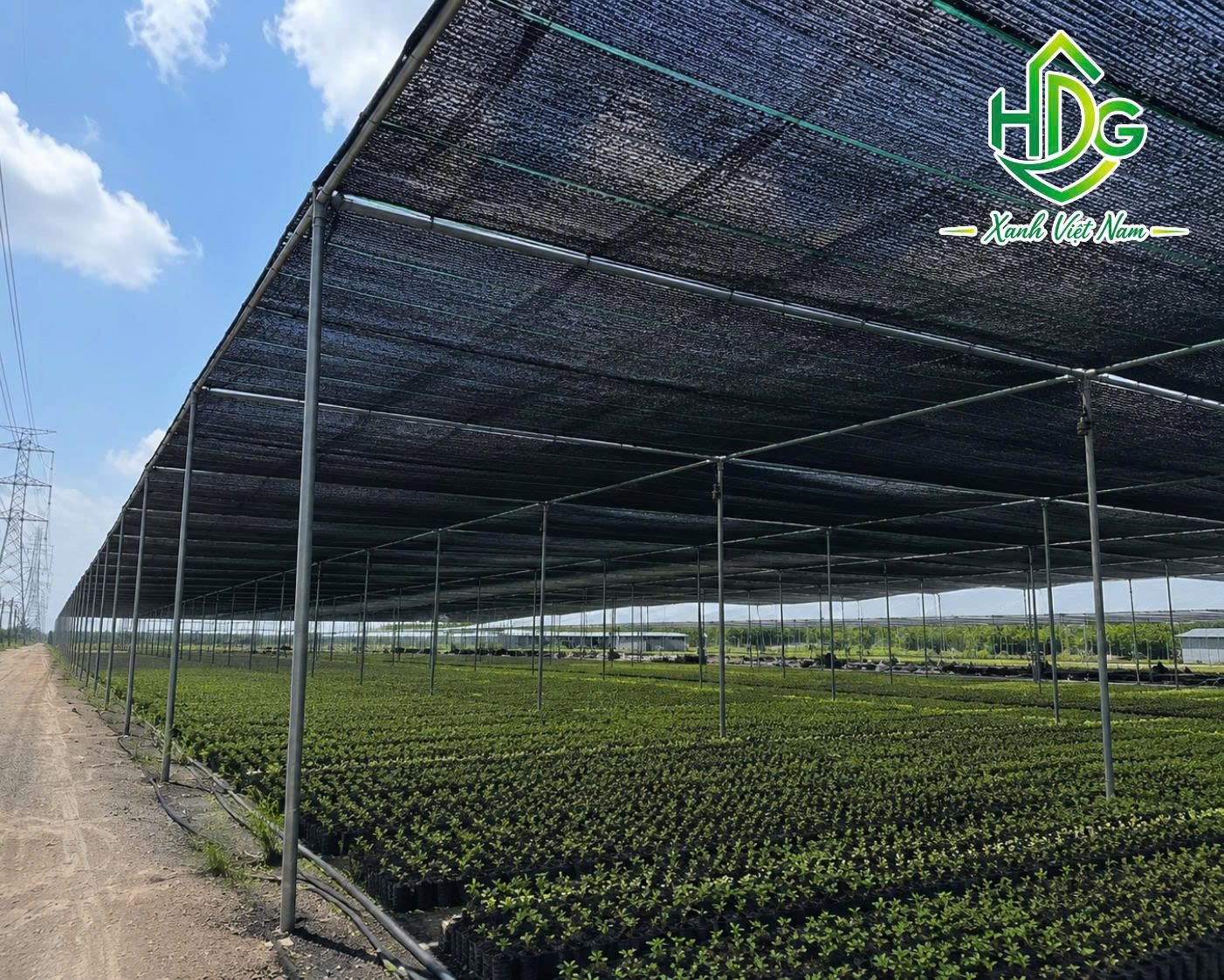 Ứng dụng Lưới che nắng Thái Lan 90%