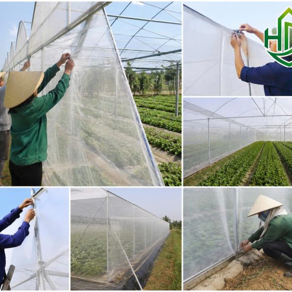 Ứng dụng lưới chắn côn trùng 18 mesh