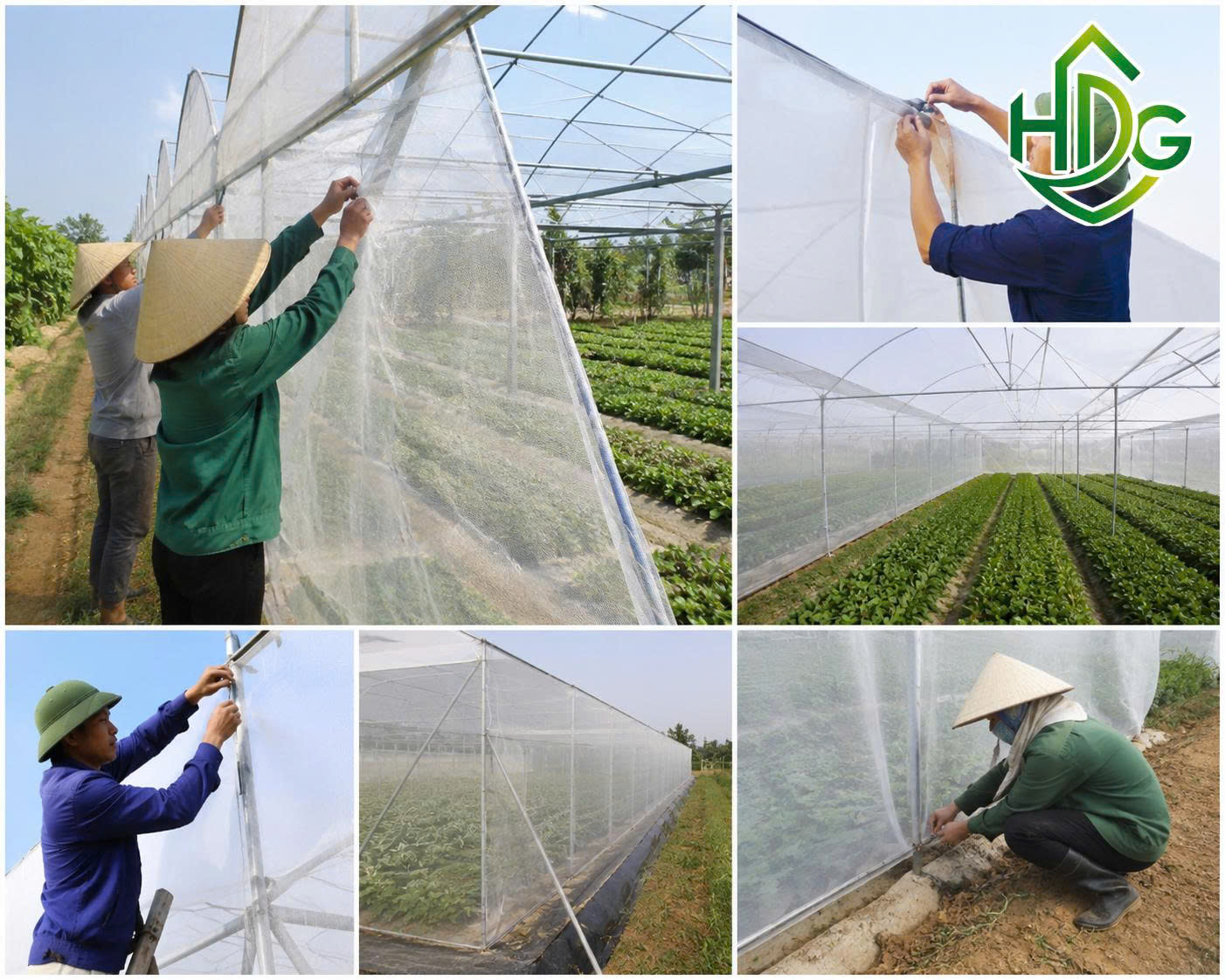 Ứng dụng lưới chắn côn trùng 25 mesh