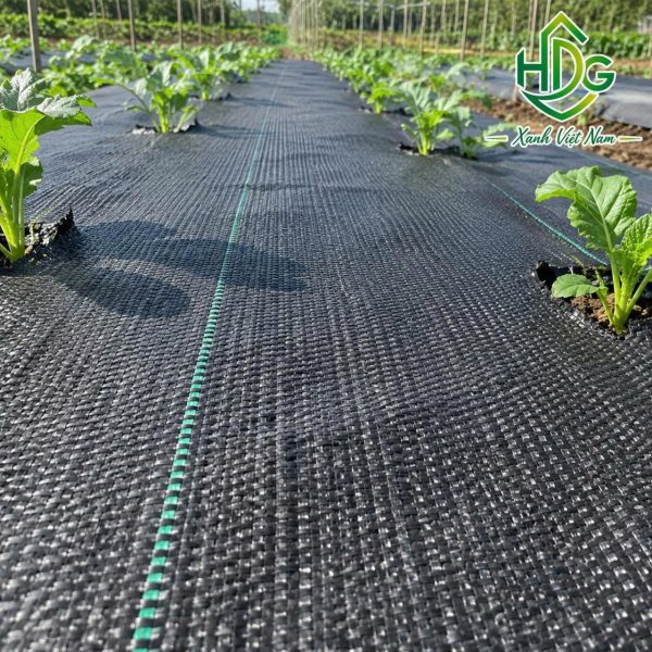 bạt chống cỏ 120gr