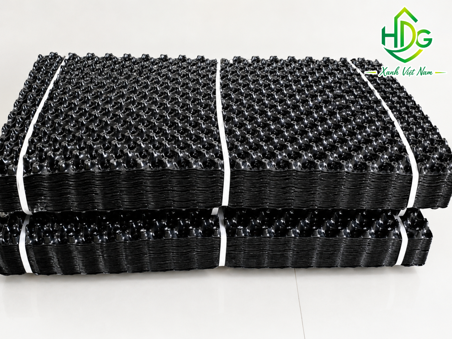Nguyên lý Air Pruning và sự khác biệt giữa bộ rễ phát triển trong bầu ươm cây V6 