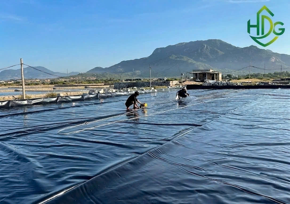 Thi công bạt chống thấm HDPE 1mm