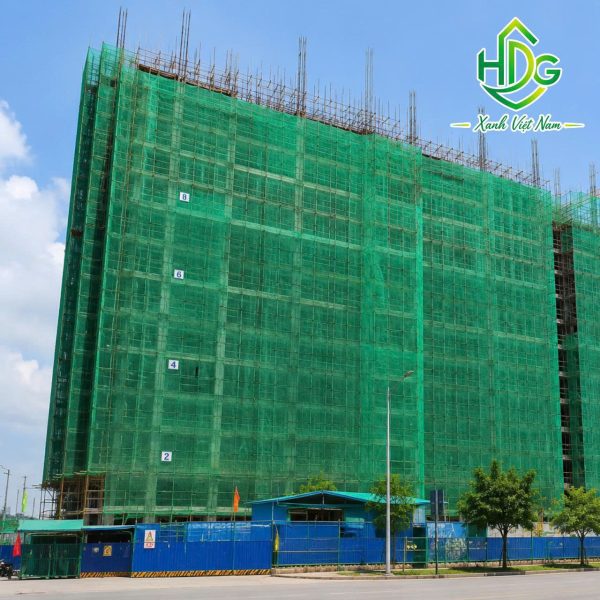 album lưới ô vuông