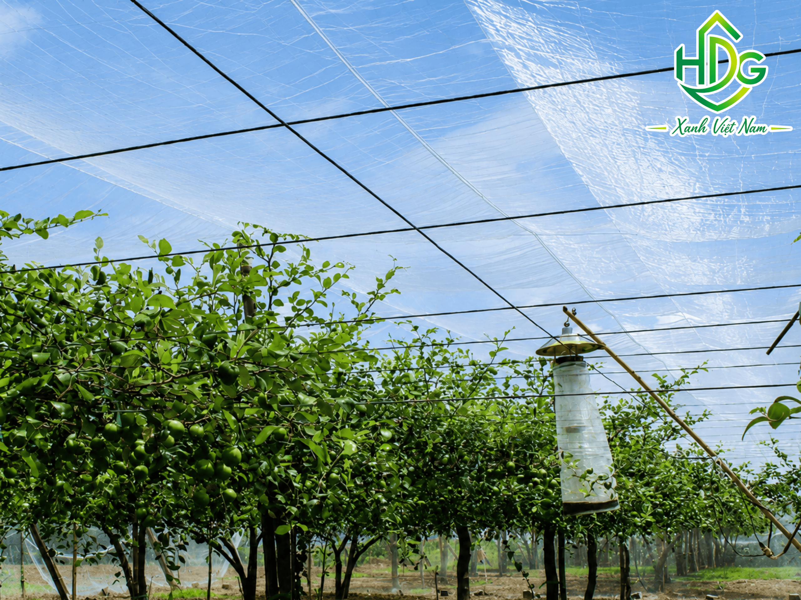 Hạn chế sử dụng thuốc bảo vệ thực vật