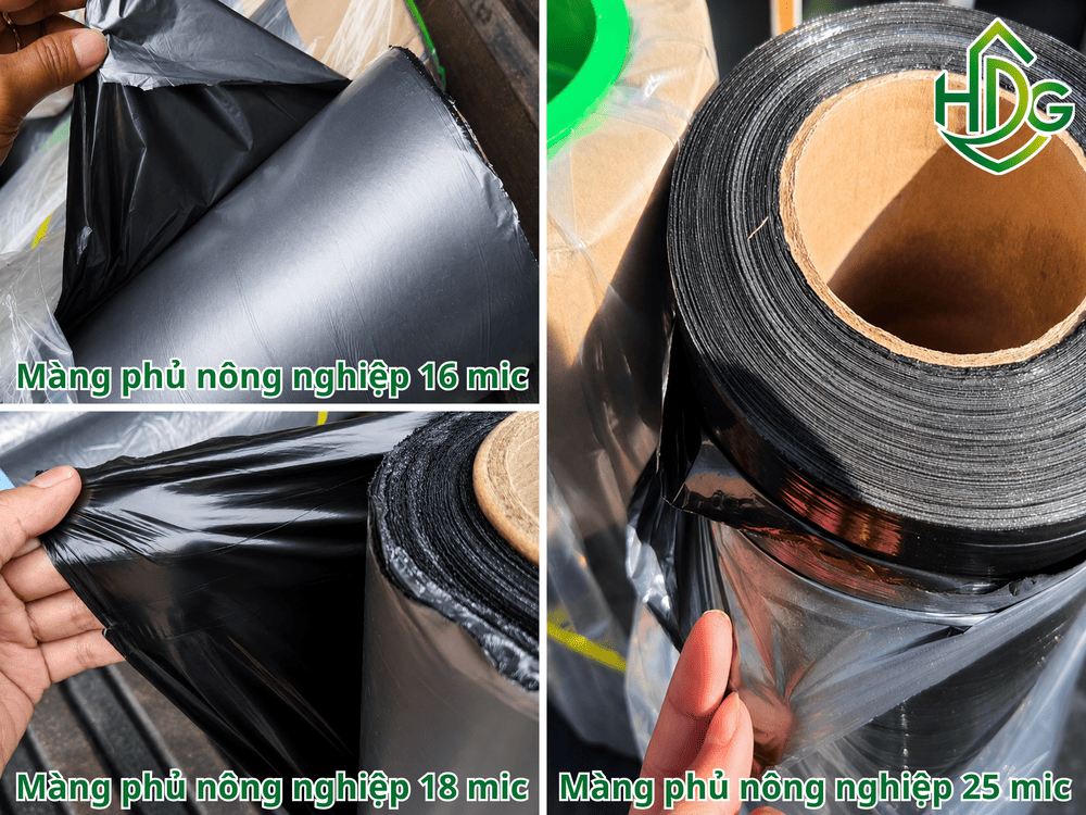 So sánh các dòng màng phủ nông nghiệp