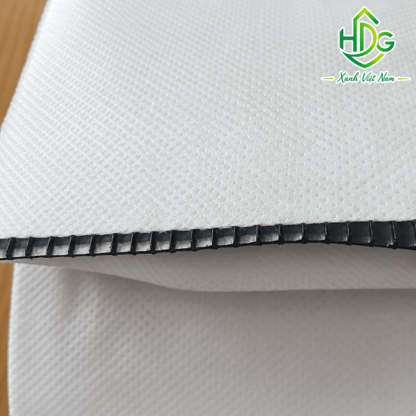 Thi công bấc thấm đứng giúp tăng tốc độ cố kết và ổn định nền đất yếu.