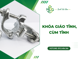 Khóa giáo tĩnh, cùm tĩnh